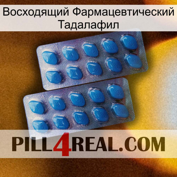 Восходящий Фармацевтический Тадалафил viagra2.jpg